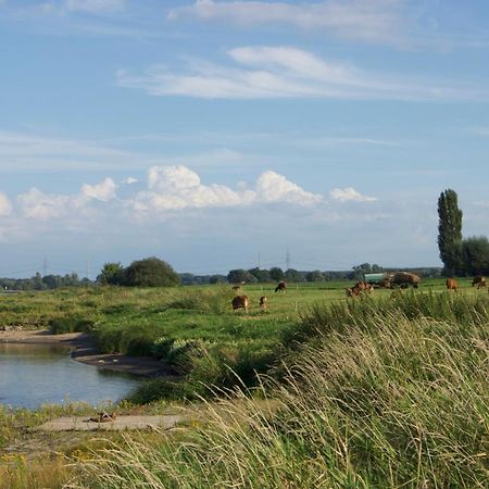 "Ferienwohnung Am Schloss" - Ferienwohnung Mit Blick Auf Das Barbyer Schloss, 5 Gehminuten Bis Zur Elbe Eksteriør billede